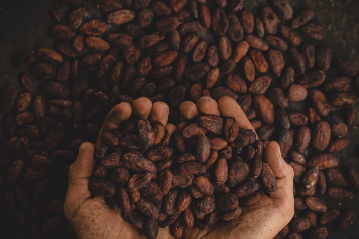 Chocolate e produtos comestíveis para apimentar o sexo oral